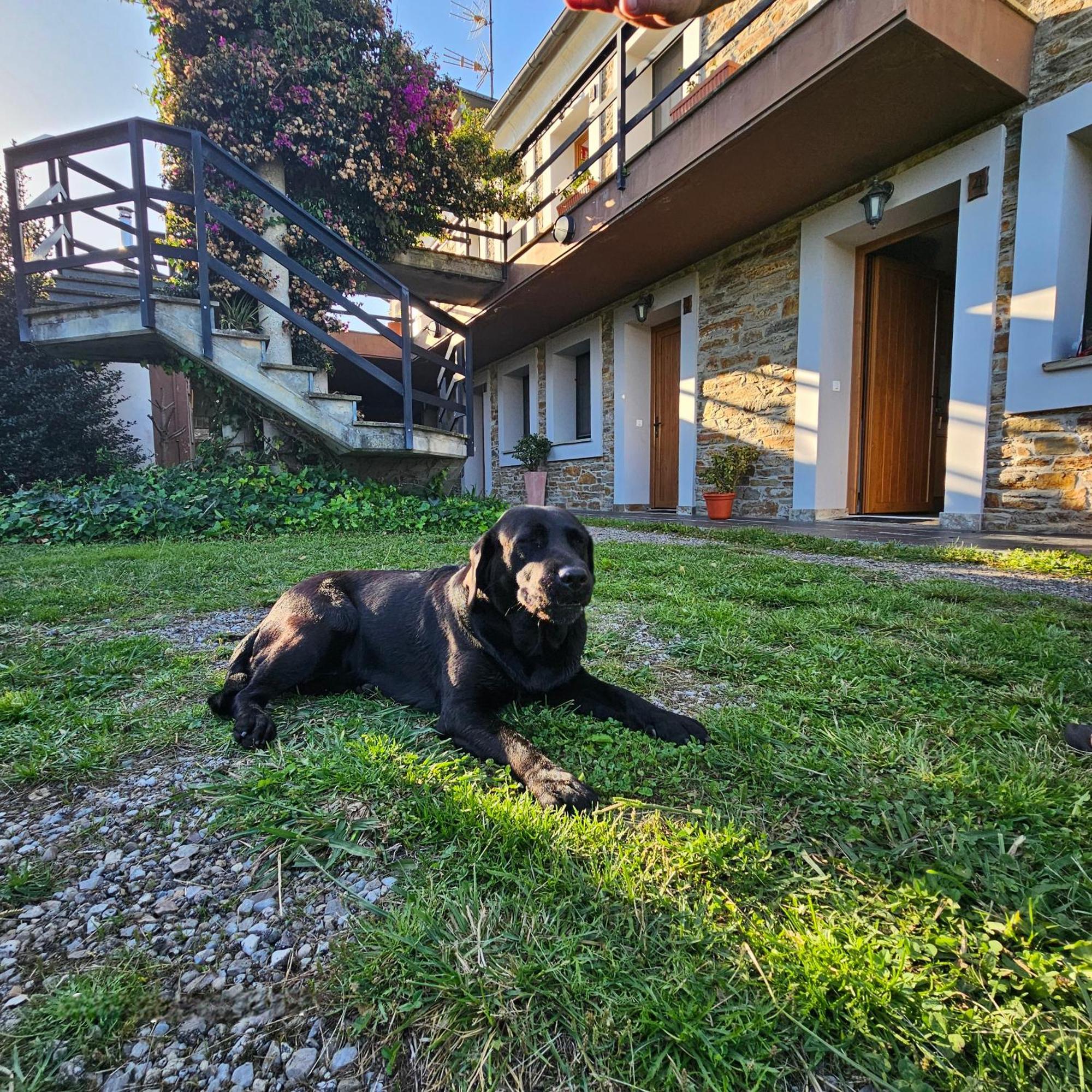 Apartamentos Castello Cartavio Exteriör bild